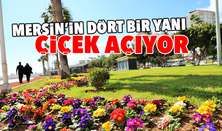 MERSİN’DE KENTİN DÖRT BİR YANI RENGARENK ÇİÇEKLERLE DONATILIYOR