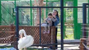 Tarsus Doğa Parkı, Yarıyıl Tatilinde Çocuklarla Dolu