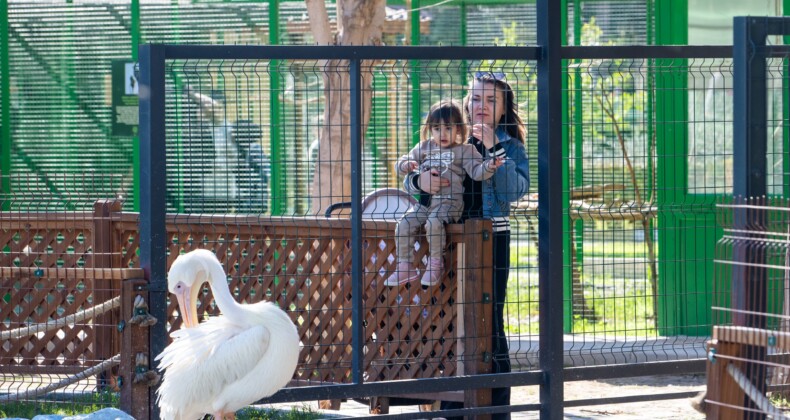 Tarsus Doğa Parkı, Yarıyıl Tatilinde Çocuklarla Dolu