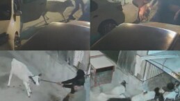 Danayı Bile Otomobille Çalmışlar