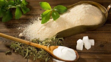 Tadımızı Kaçırmayan Şeker: Stevia