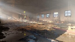 Tarsus’ta Tavuk Üretim Tesisinde Çıkan Yangında Binlerce Civciv Hayatını Kaybetti