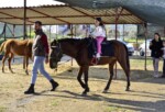 At Binme Çiftliği, Özel Çocuklara Umut Oluyor