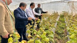 Tarımda İklim Değişikliği Tehdidi Büyüyor