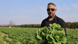 Tarlada 5 TL, Manavda 5 Katı