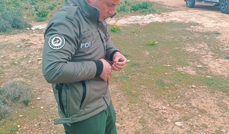 Yaralı ve Bitkin Bulunan Ebabil Kuşu Koruma Altına Alındı