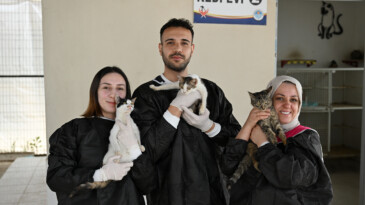 Patili Dostlarımız İçin Gönüllü İş Birliği!