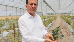 Tropikal Ürünler Ekonomiye Katkı Sağlıyor