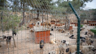 KAŞLI BAKIMEVİ’NDEKİ İDDİALARA MERSİN BÜYÜKŞEHİR’DEN SORUŞTURMA