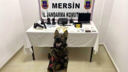 Mersin’de uyuşturucu operasyonu