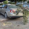 Kırılan ağaç dalı otomobile zarar verdi