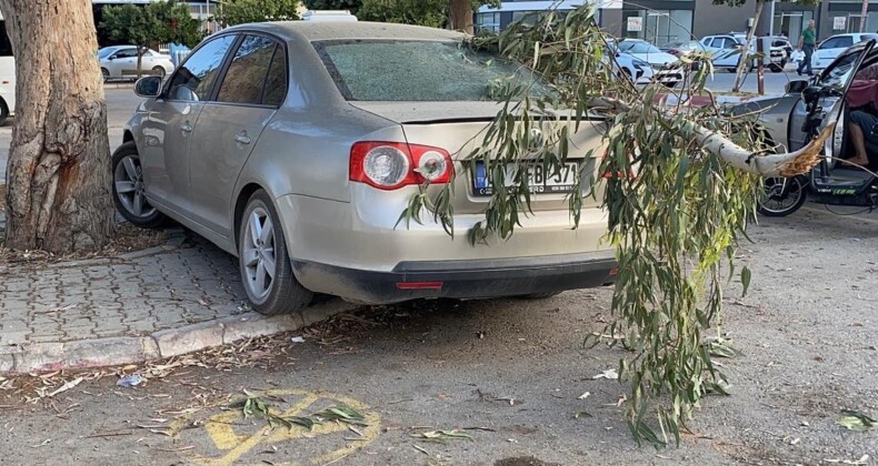 Kırılan ağaç dalı otomobile zarar verdi