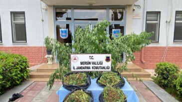 Mersin’de zehir tacirlerine darbe