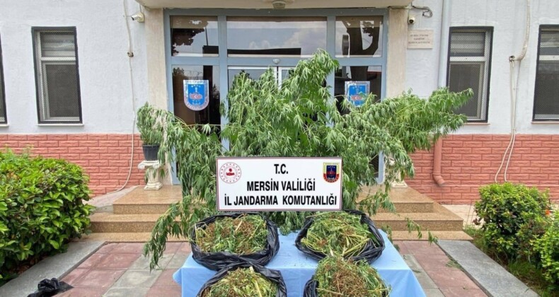 Mersin’de zehir tacirlerine darbe