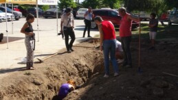 Yaklaşık 16 metrelik balinanın iskeleti gün yüzüne çıkarılmaya başladı