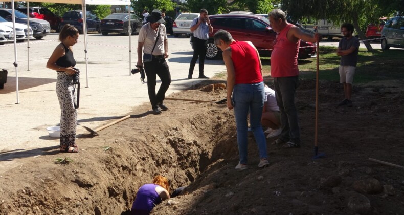 Yaklaşık 16 metrelik balinanın iskeleti gün yüzüne çıkarılmaya başladı