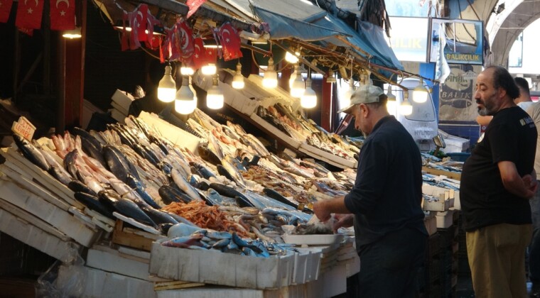 Balıkta bolluk yaşanıyor, fiyatlar kasım sonuna kadar uygun