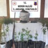Uyuşturucu üreten şüpheli yakalanıp tutuklandı