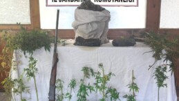 Uyuşturucu üreten şüpheli yakalanıp tutuklandı