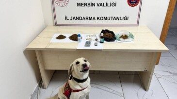 Mersin’de uyuşturucu operasyonu: 5 şüpheli tutuklandı