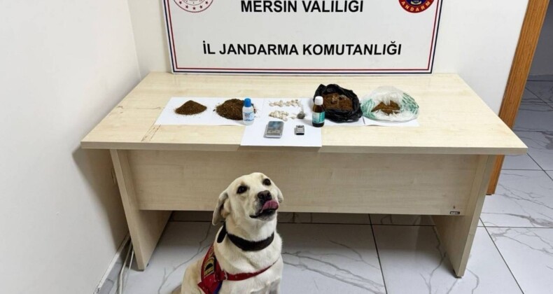 Mersin’de uyuşturucu operasyonu: 5 şüpheli tutuklandı