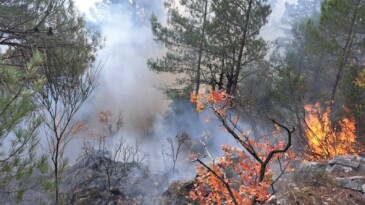 Bozyazı’da Yıldırım Orman Yangınına Neden Oldu