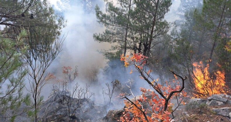 Bozyazı’da Yıldırım Orman Yangınına Neden Oldu