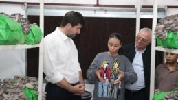 Tarsus’ta istiridye mantarı kursunda ilk hasat sevinci