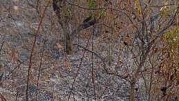 Yaşlı adam, bahçesini temizlerken yangında hayatını kaybetti