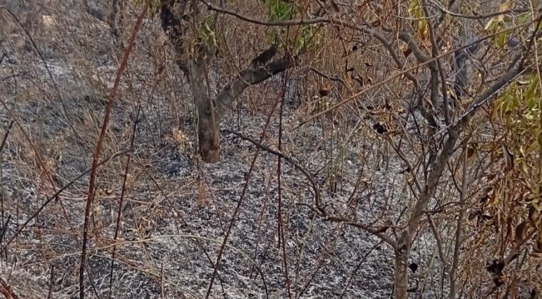Yaşlı adam, bahçesini temizlerken yangında hayatını kaybetti