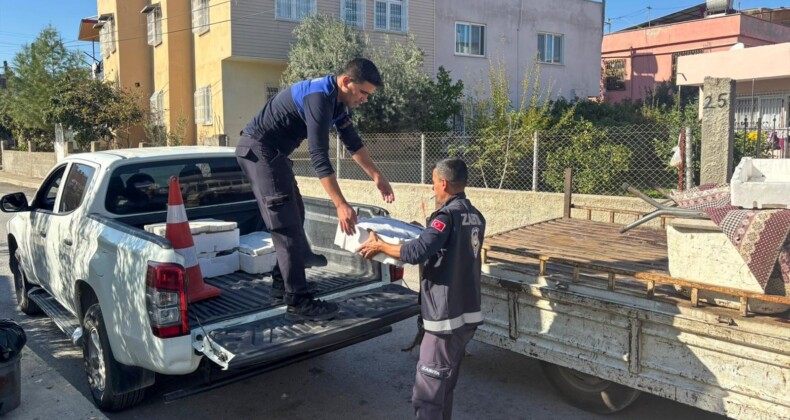 Tarsus’ta ihbar üzerine 250 kilo sağlıksız balık ele geçirildi
