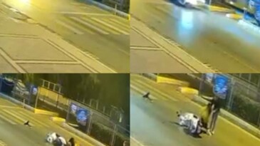 Mersin’de motosiklet kazasında köpeğin sadakati duygulandırdı