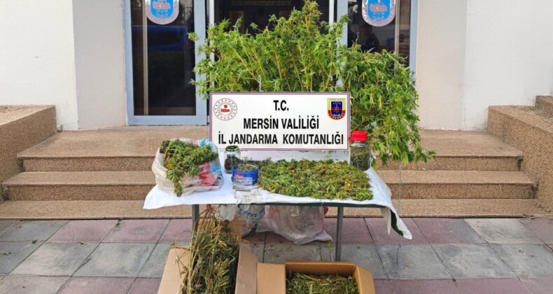 Mersin’de kenevir ekip uyuşturucu üreten şüpheli tutuklandı