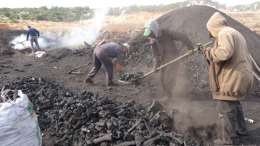 Torosların eteğinde zorlu ‘kömür’ mesaisi