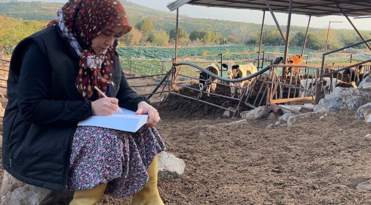 3 çocuk annesinin azmi: Hayvancılıkla uğraşırken çocukların ilk öğretmeni oldu