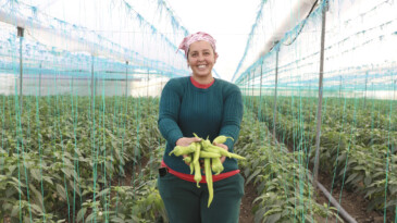 BÜYÜKŞEHİR BELEDİYESİ VERDİĞİ DESTEKLERLE ÜRETİCİYE NEFES OLUYOR