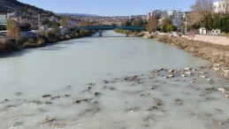 Göksu’nun siyah akmasına neden olan tesise 1 milyon 337 bin TL ceza