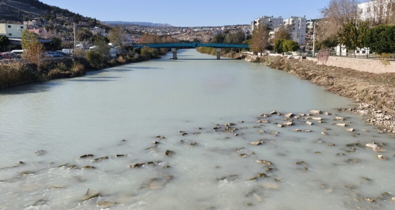 Göksu siyah akmaya başladı, akıllara 3 yıl önceki hadise geldi