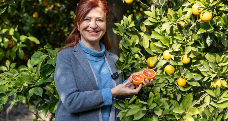 MERSİN KAN PORTAKALI COĞRAFİ İŞARET TESCİLİNİ ALDI