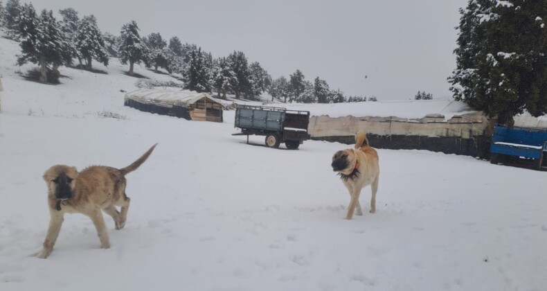 Yaz şehri Mersin’de kar birçok mahalleyi beyaza bürüdü