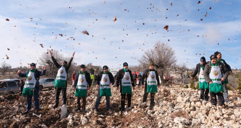 Şehidin adı sedir ormanında yaşatılıyor