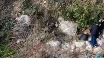Balıkesir’den kayıp olarak aranan şahsın cesedi Mersin’de bulundu