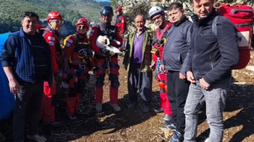 Uçurumdan düşen kuzuyu ekipler kurtardı