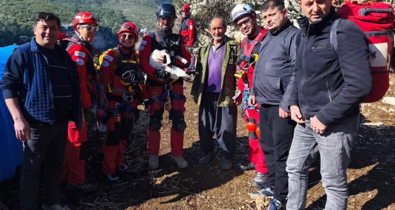 Uçurumdan düşen kuzuyu ekipler kurtardı