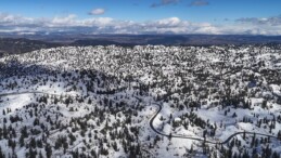 Mersin’de karla kaplanan ormanlık alandan kartpotallık görüntüler