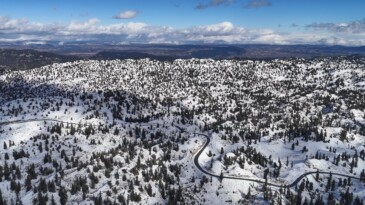 Mersin’de karla kaplanan ormanlık alandan kartpotallık görüntüler