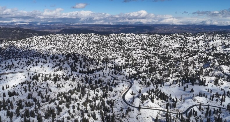 Mersin’de karla kaplanan ormanlık alandan kartpotallık görüntüler