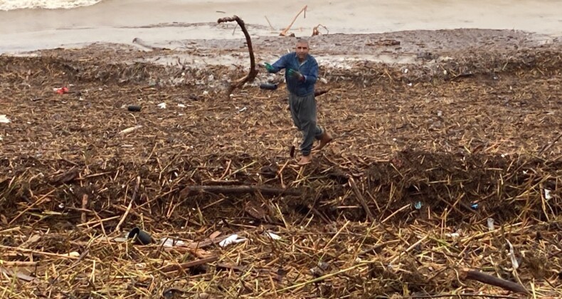 Sel sonrası deniz kahverengi oldu, sahiller odun doldu