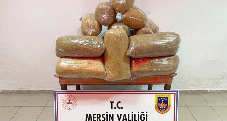 Mersin’de 100 kilo kaçak tütün ele geçirildi, 1 kişi gözaltına alındı