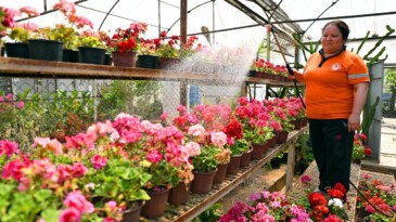 Mersin’de yeşil alanlar iklim dostu uygulamalarla büyütüldü